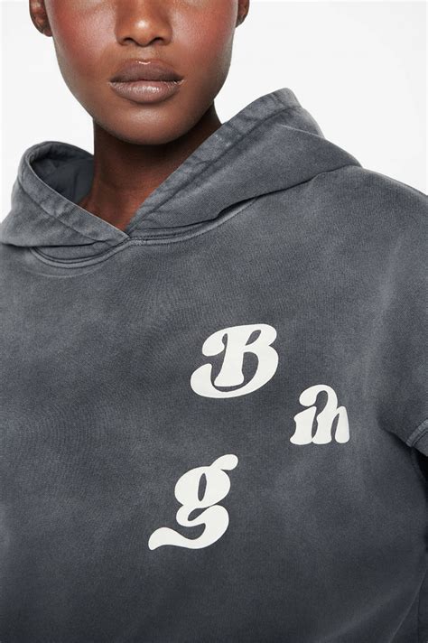 anine bing dupe hoodie